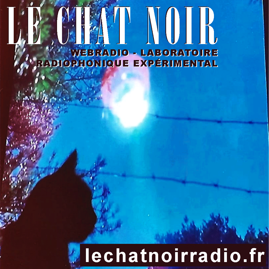 Logo Le Chat Noir